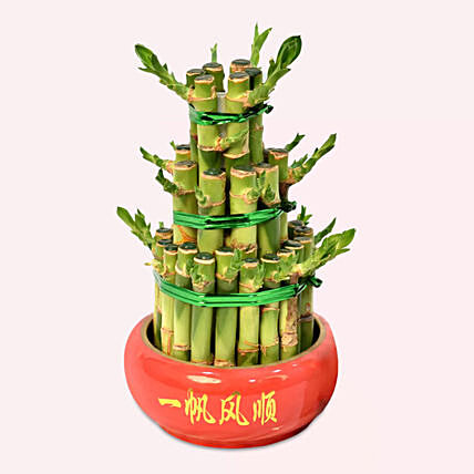3 Layer Bamboo Plant