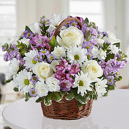 Description Product Details: 5 Purple Matthiola 5 Stems of Purple Alstroemeria 5 Stems of White Chrysanthemums 6 White Roses 5 Stems of Spray White Carnations 3 Stems of Purple Alstroemeria Fillers- Pittosporum Leaves Arranged in a Handle Basket Flowers Trivia: Alstroemeria flowers symbolize wealth, prosperity and fortune. It is also the flower of friendship. The world’s most expensive rose is a 2006 variety by famed rose breeder David Austin that was christened Juliet. Breeding the rose took a total 15 years and cost 5 million dollars!